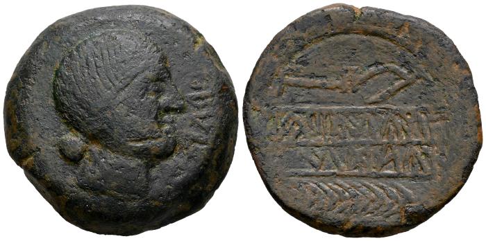 Celtiberian Coins