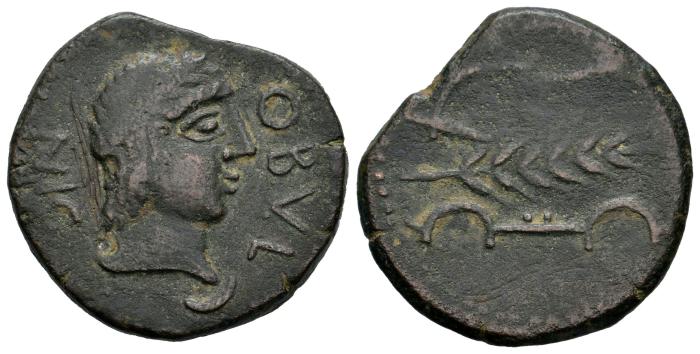 Celtiberian Coins