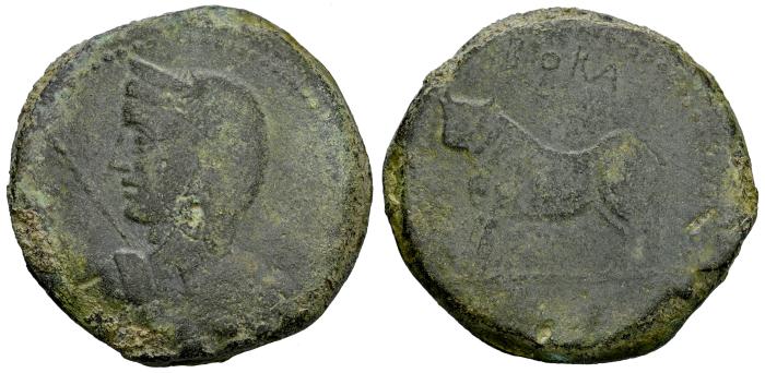 Celtiberian Coins