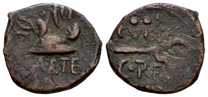 Celtiberian Coins