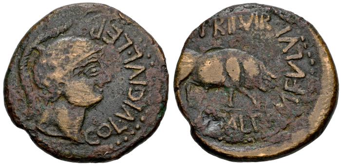 Celtiberian Coins