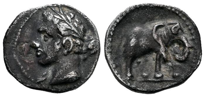 Celtiberian Coins