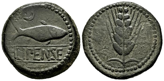 Celtiberian Coins