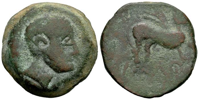 Celtiberian Coins