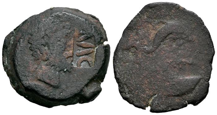 Celtiberian Coins