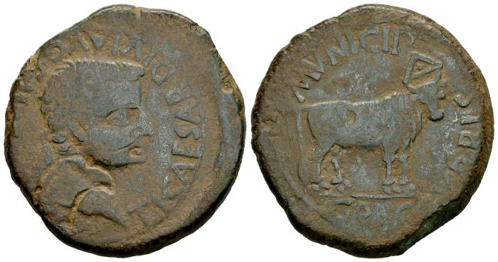 Celtiberian Coins
