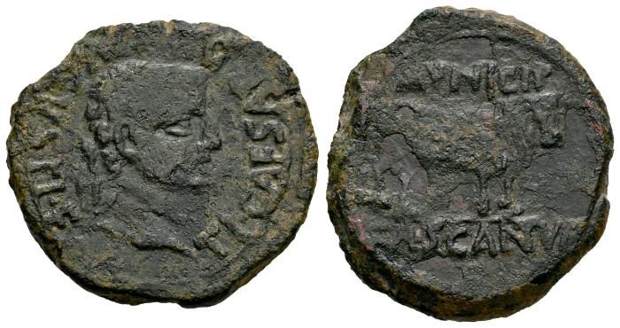 Celtiberian Coins