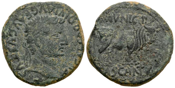 Celtiberian Coins