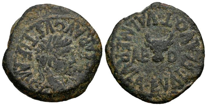 Celtiberian Coins