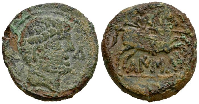 Celtiberian Coins