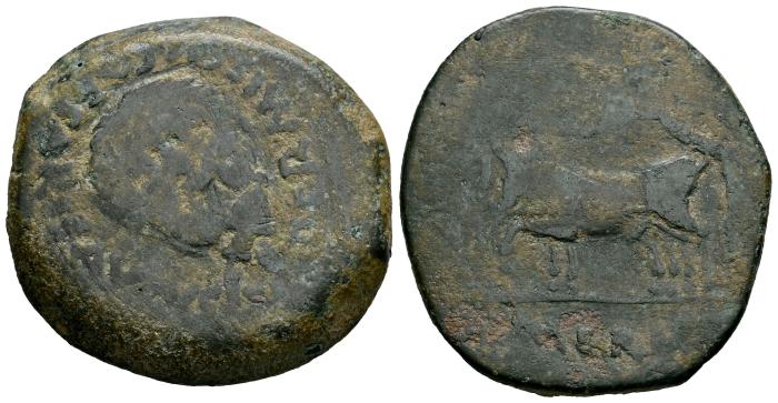 Celtiberian Coins