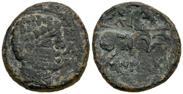 Celtiberian Coins