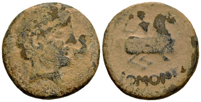 Celtiberian Coins