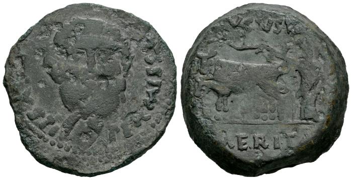 Celtiberian Coins