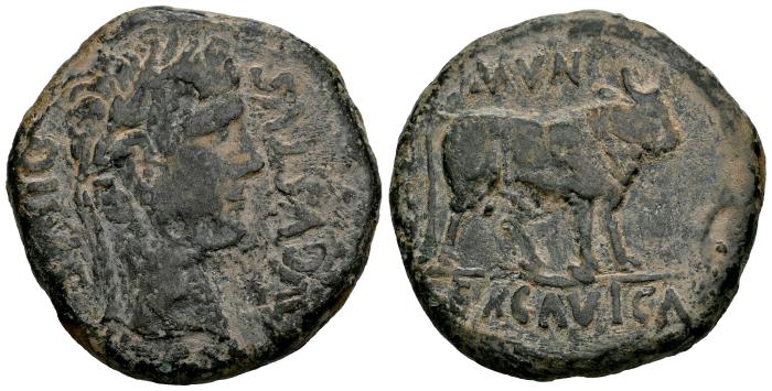 Celtiberian Coins