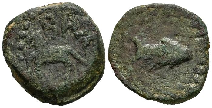 Celtiberian Coins