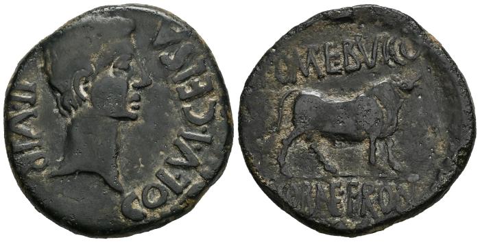 Celtiberian Coins