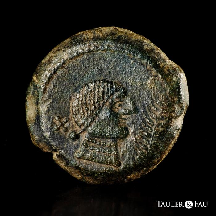 Celtiberian Coins