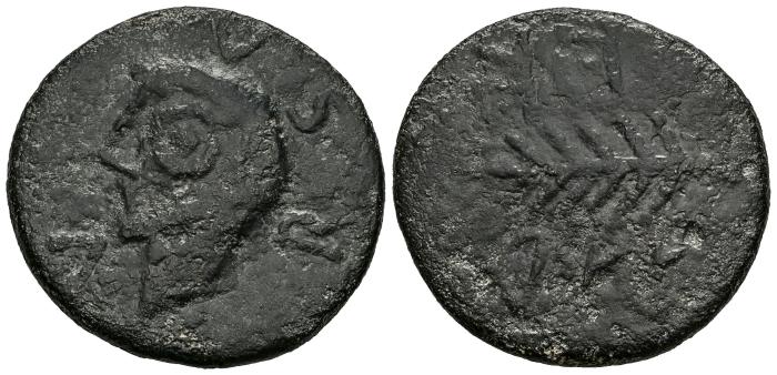 Celtiberian Coins