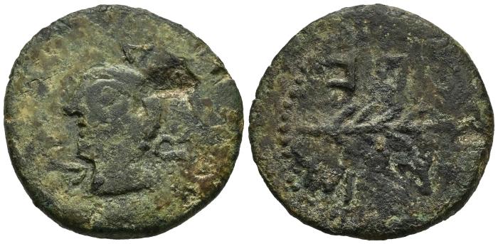 Celtiberian Coins