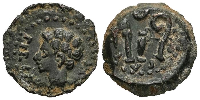 Celtiberian Coins