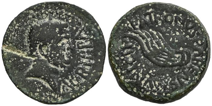 Celtiberian Coins