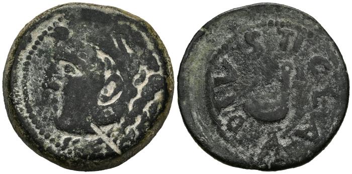 Celtiberian Coins