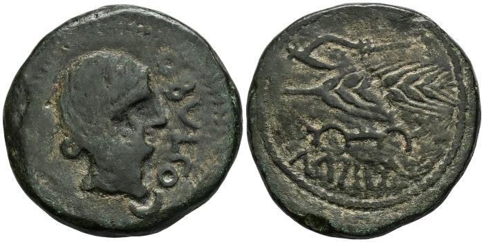 Celtiberian Coins