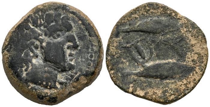 Celtiberian Coins