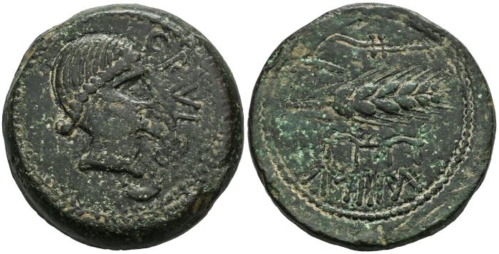 Celtiberian Coins