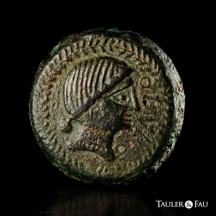 Celtiberian Coins