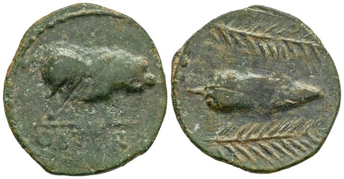 Celtiberian Coins