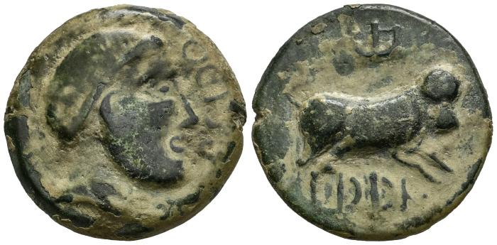 Celtiberian Coins