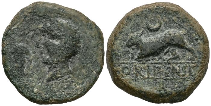 Celtiberian Coins