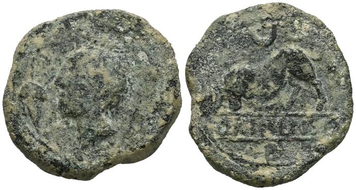 Celtiberian Coins