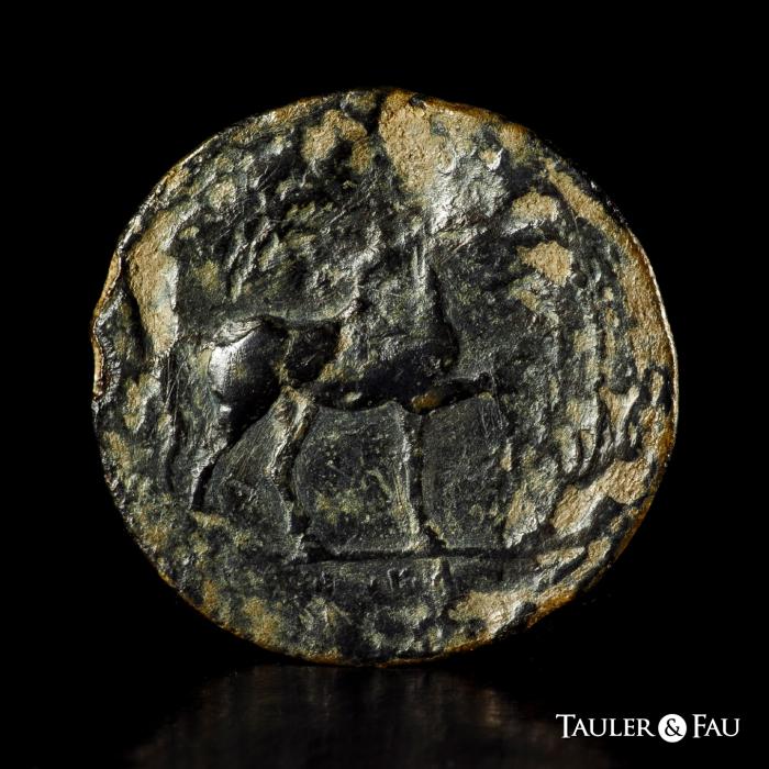 Celtiberian Coins