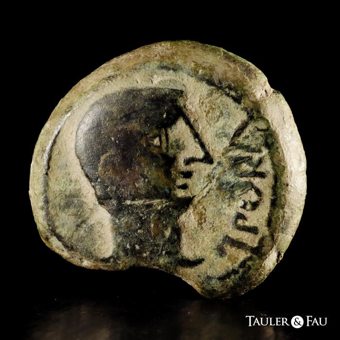Celtiberian Coins
