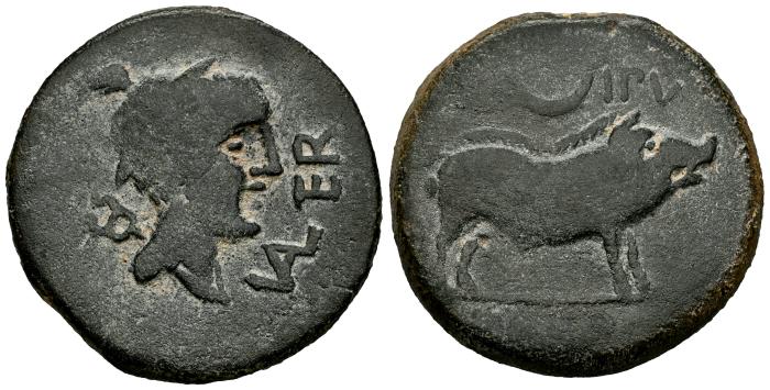 Celtiberian Coins