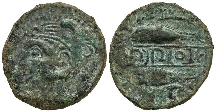 Celtiberian Coins