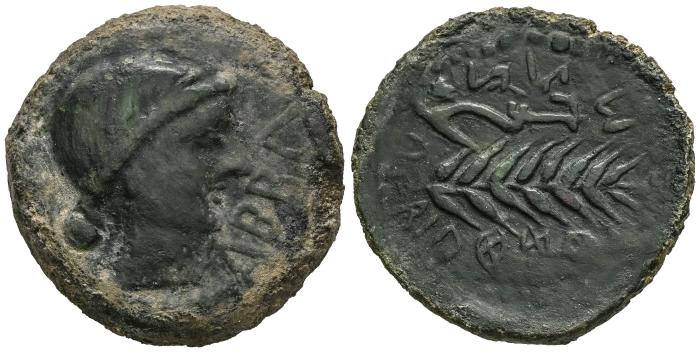 Celtiberian Coins