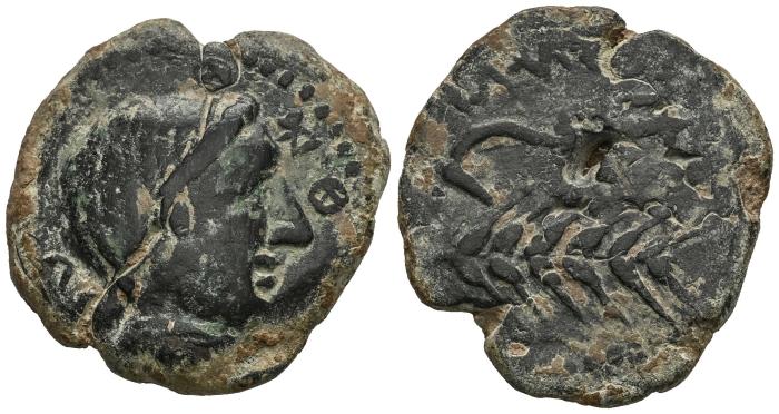 Celtiberian Coins