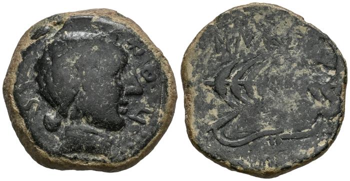 Celtiberian Coins