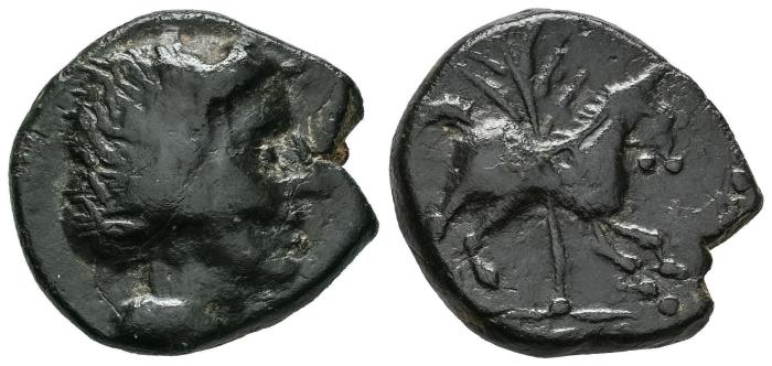 Celtiberian Coins