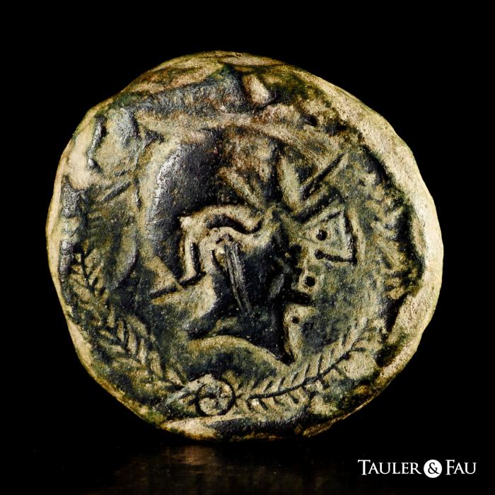 Celtiberian Coins
