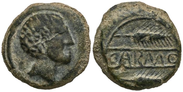Celtiberian Coins