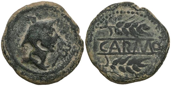 Celtiberian Coins