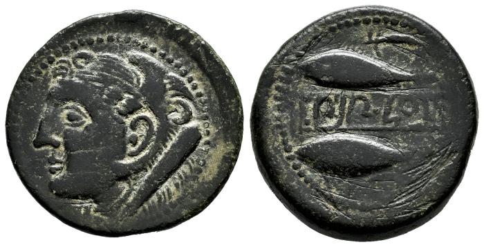 Celtiberian Coins