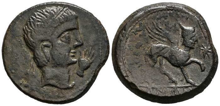 Celtiberian Coins