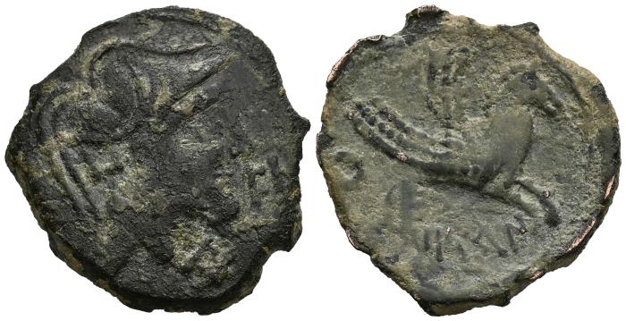 Celtiberian Coins