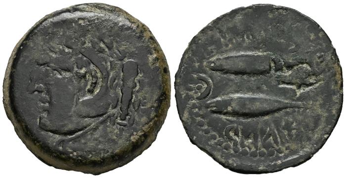Celtiberian Coins